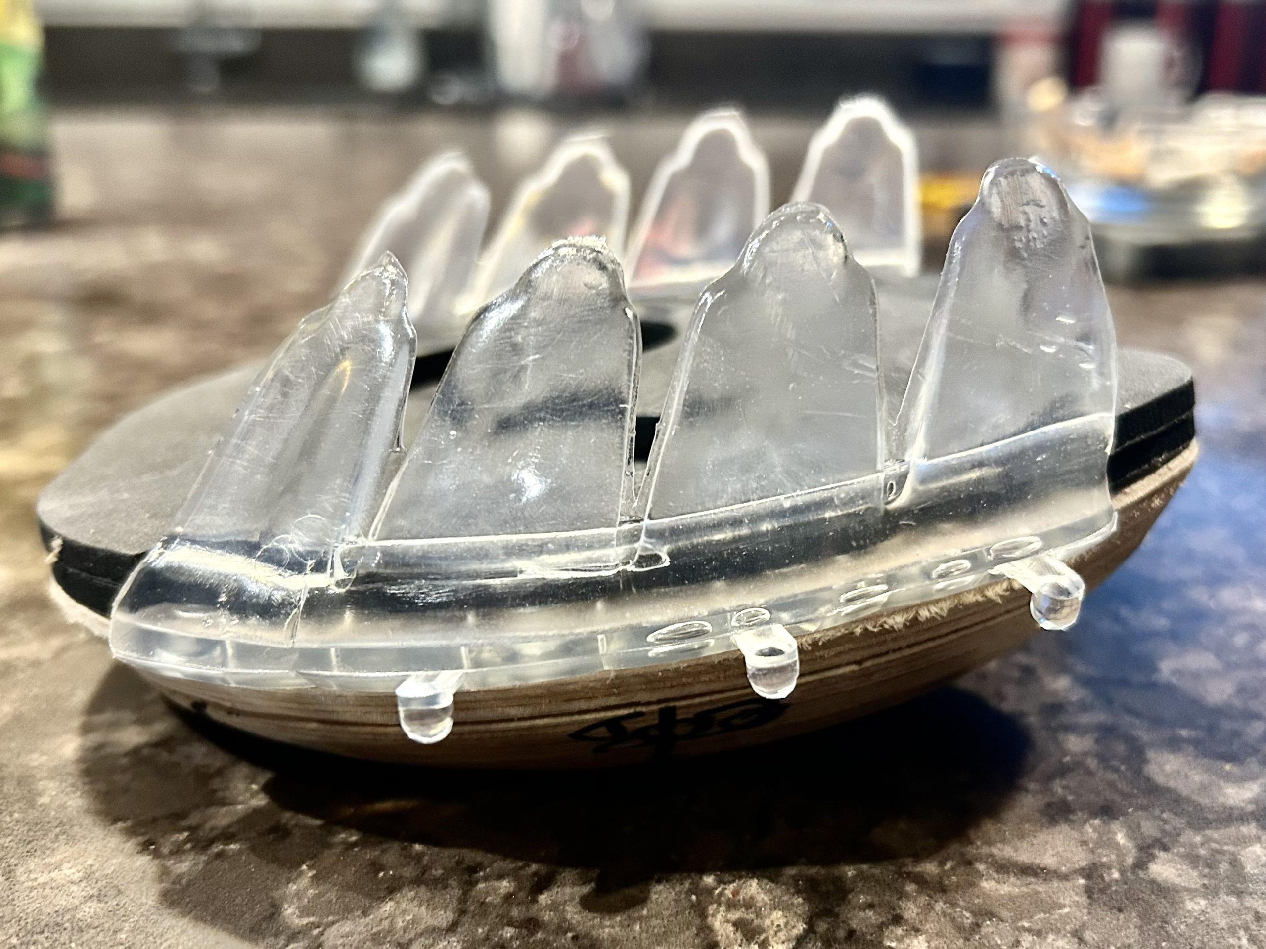 A Pilot Study to Evaluate a Therapeutic Shoeing System for Laminitis Using a Steward Clog and Hoof Cast
