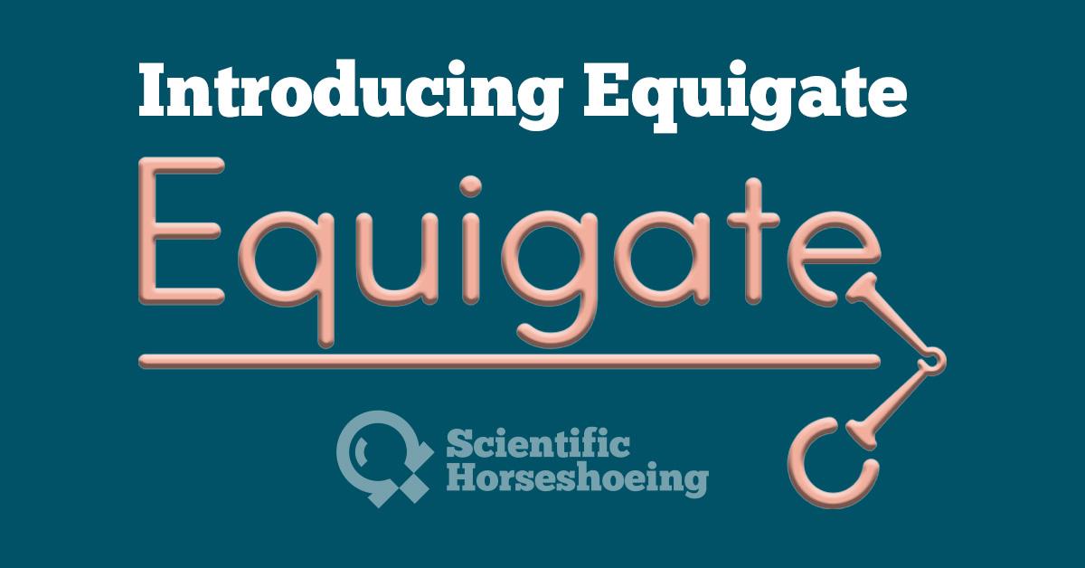 Introducing Equigate