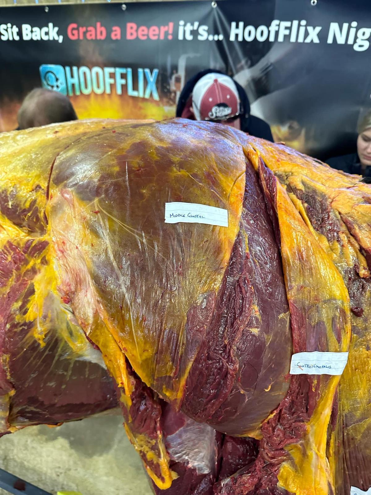 Back Pain & Foot Pathology is there a Link