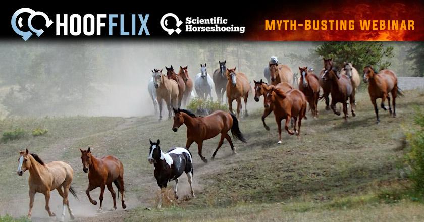 Hoof Health in the Wild: Feral Horses of the Great Basin with Jamie Jackson - HoofFlix.com “Myth Busters”