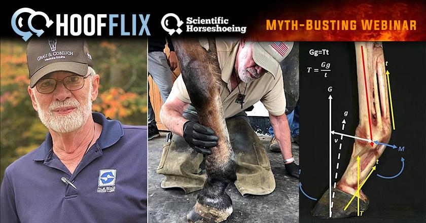 Science Shoeing: Practical Solutions for Equine Hoof Care - with Dr. Steve O’Grady - HOOFFLIX Webinar