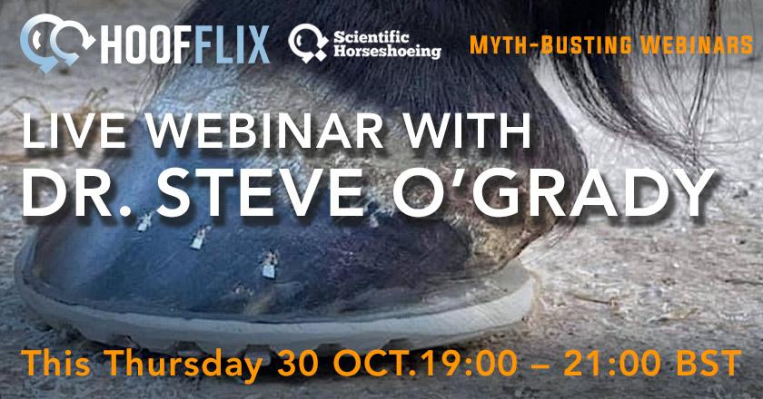 They say, “no hoof, no horse.” But… what does good hoof care actually look like?