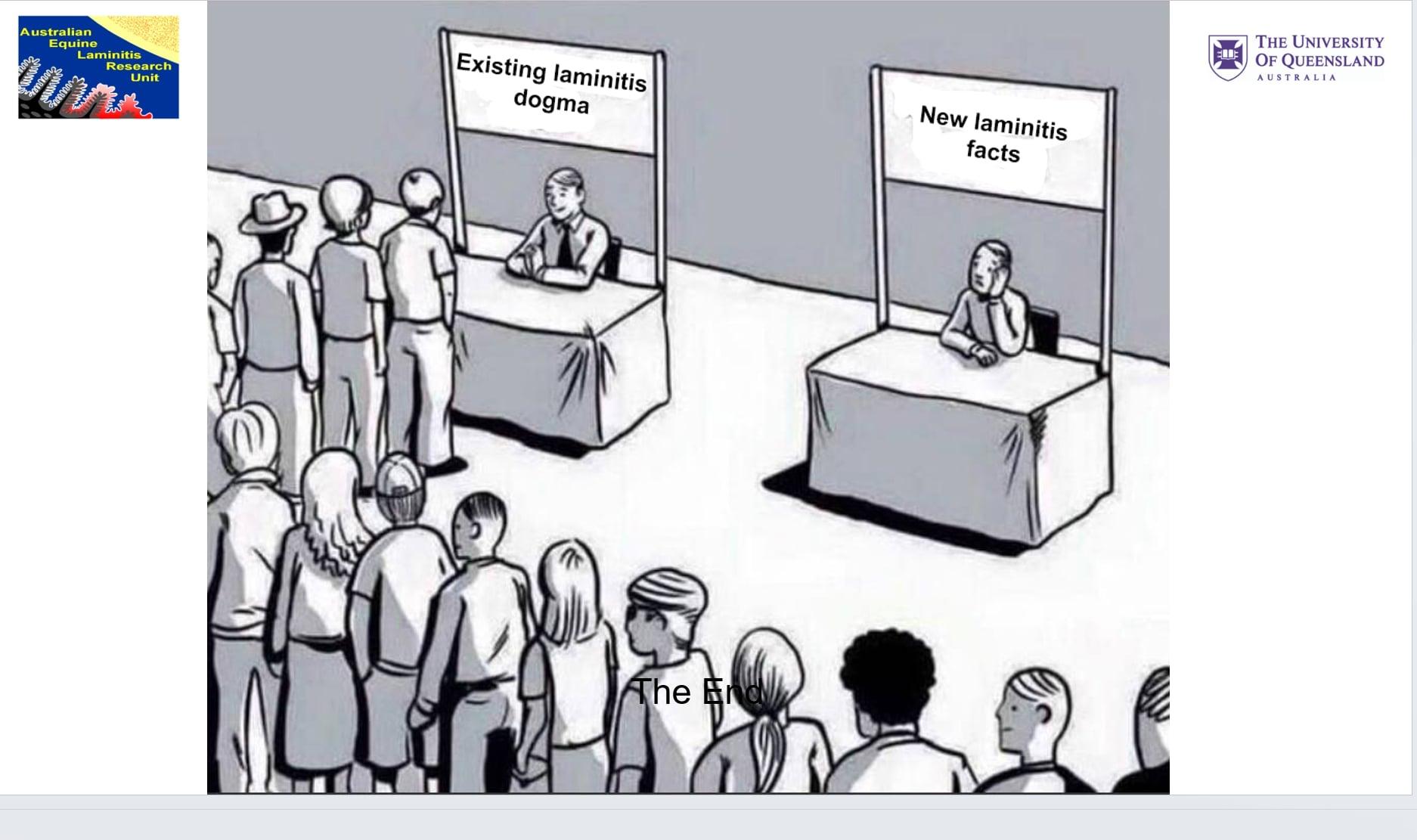 A Comprehensive Review of Professor Chris Pollitt’s Contributions to Laminitis Research: Anatomy, Pathophysiology, and Clinical Implications